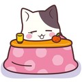 今日から