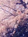 お家の