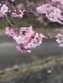 週末はーー