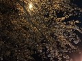 昨日と違って
