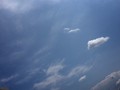 朝は