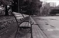 雨