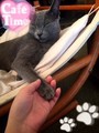 初めて