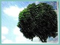 「危ない」