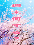 「週末、なにする?」